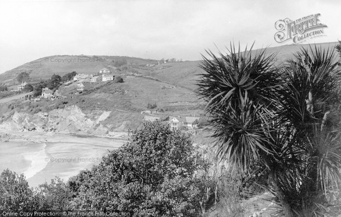 Photo of Seaton, Sub Tropical Vista c.1955