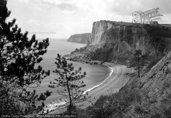 Photo of Seaton, White Cliff From Jubilee Gardens c.1955