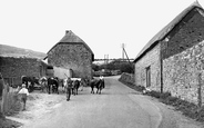 Seatown Farm c.1955, Seatown