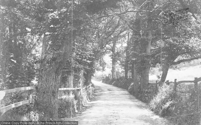 Photo of Seaview, c.1883