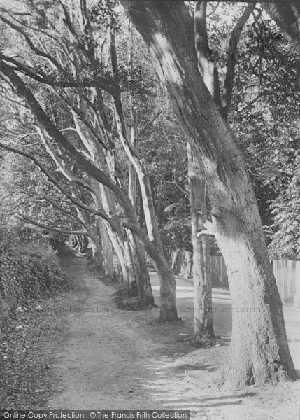 Photo of Seaview, Pier Road 1918