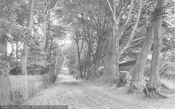 Photo of Seaview, Pier Road 1923