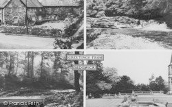 Composite c.1955, Sedgwick