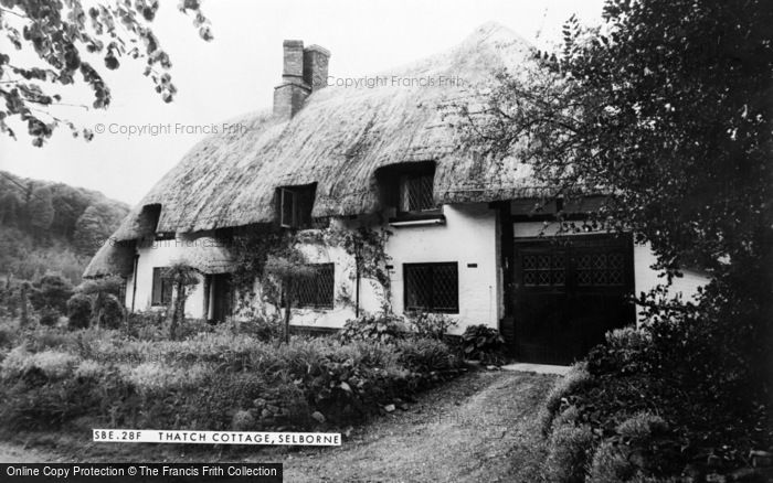 Photo of Selborne, Thatch Cottage c.1960