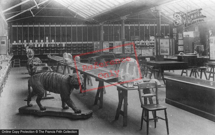 Photo of Selby, The Museum Interior 1901