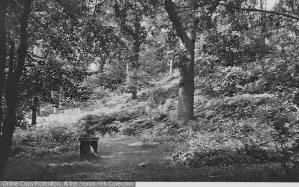 Photo of Selsdon, Crohamhurst Woods c.1955