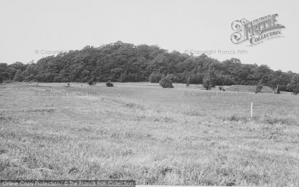 Photo of Selsdon, Golf Course And Crohamhurst Woods c.1955