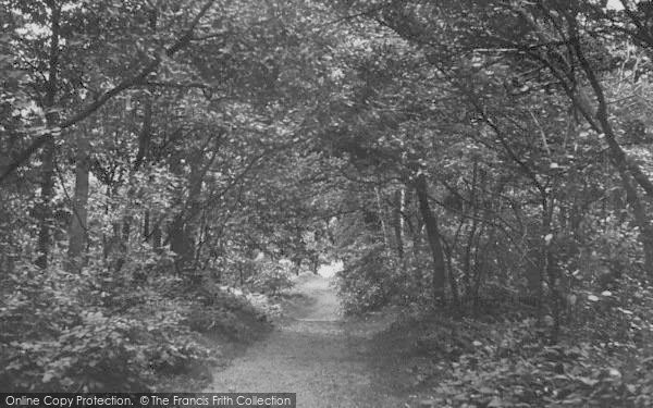 Photo of Selsdon, Littleheath Woods c.1955