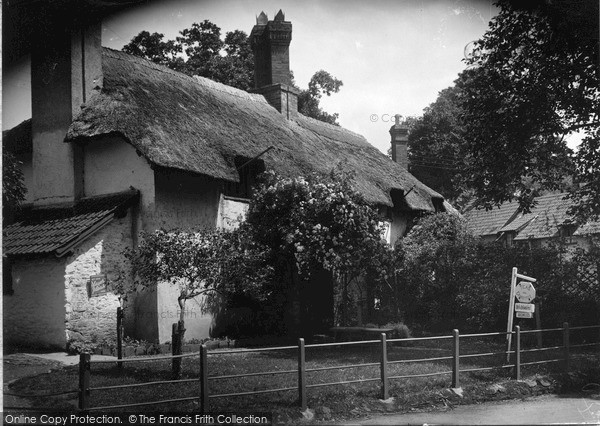 Photo of Selworthy, At Budleigh Hill c.1950