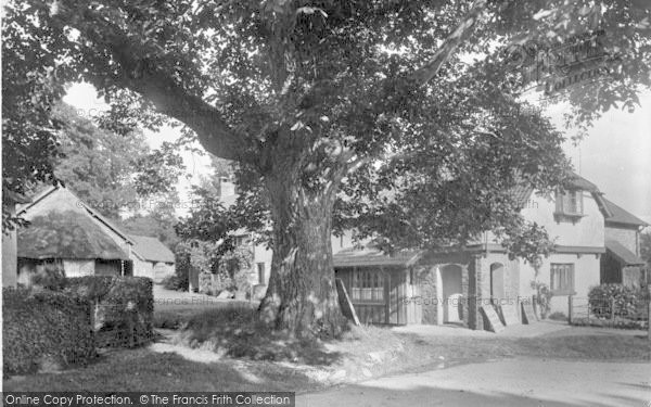 Photo of Selworthy, Buddle Hill 1931