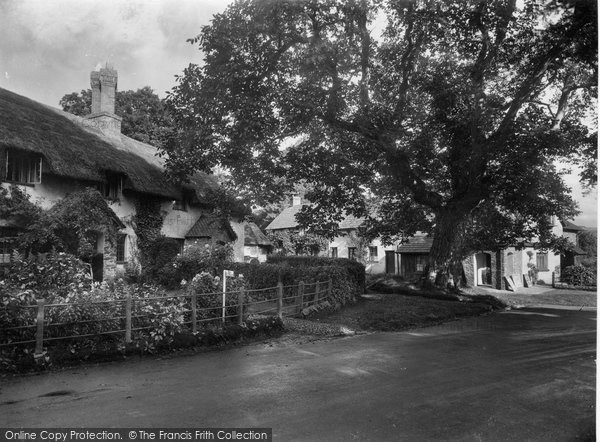 Photo of Selworthy, Budleigh Hill 1931