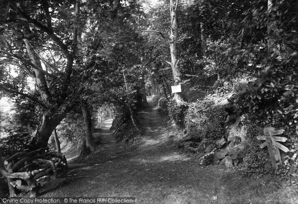 Photo of Selworthy, Woods, St Agnes Fountain 1907