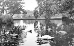 Bradbourne Park Lakes c.1955, Sevenoaks