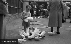 Sewerby Hall, Aviary 1951, Sewerby