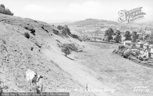 Photo of Shaftesbury, Castle Hill c.1955