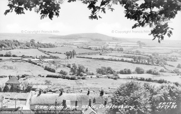 Photo of Shaftesbury, View From Pine Walk c.1960