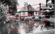 Ness Farm House c.1955, Shaldon