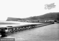 The Bridge 1895, Shaldon