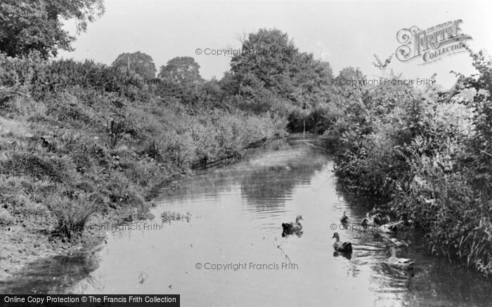 Photo of Shalfleet, The Stream c.1955