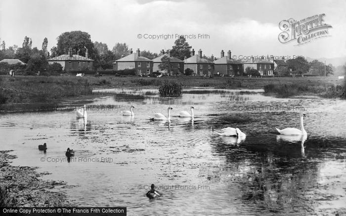 Photo of Shalford, Common 1925