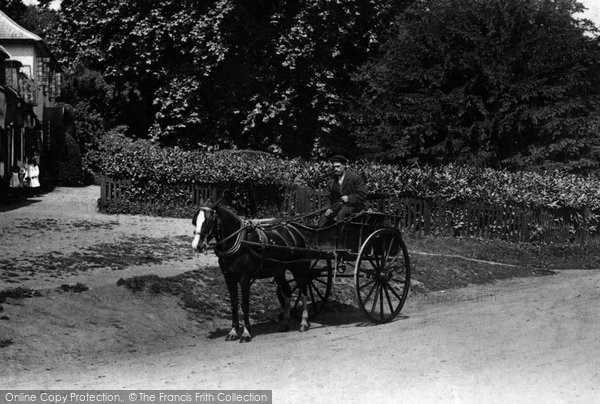 Photo of Shalford, Horse And Cart 1904