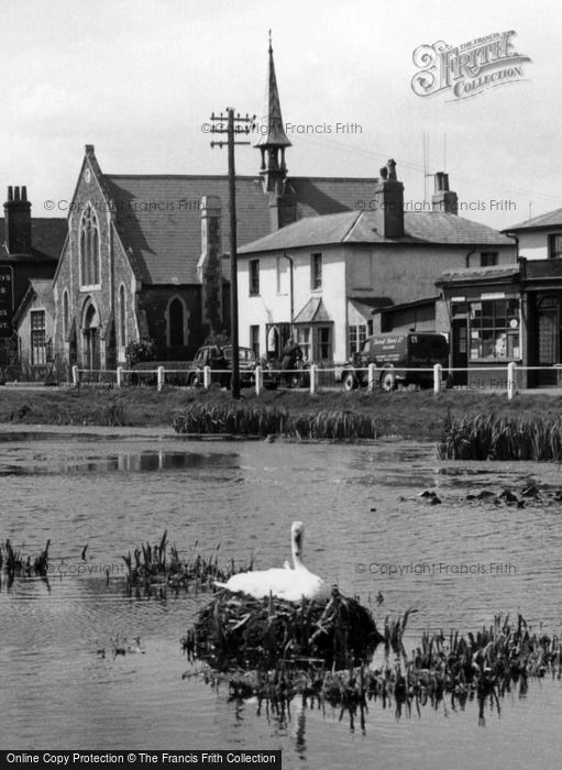 Photo of Shalford, Swan's Nest On Village Pond c.1955