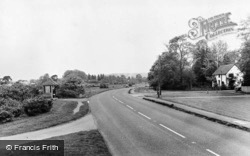 The Common c.1955, Shalford