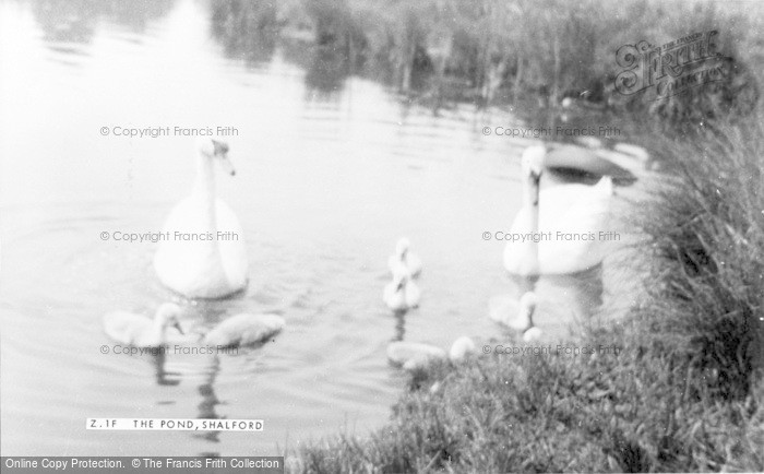 Photo of Shalford, The Pond c.1955
