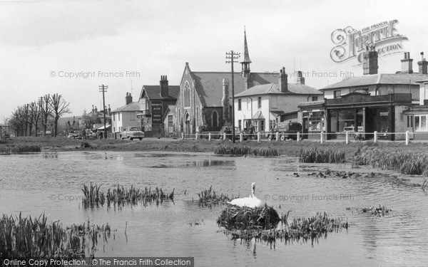 Photo of Shalford, Village And Pond c.1955