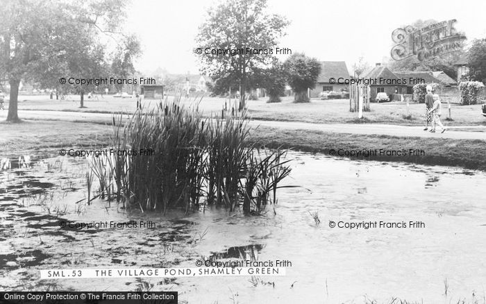 Photo of Shamley Green, The Village Pond c.1965