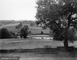 View From The Hallams, Hallams Heath c.1955, Shamley Green