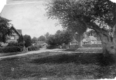 Village 1906, Shamley Green