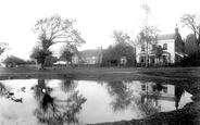 Village Pond 1906, Shamley Green