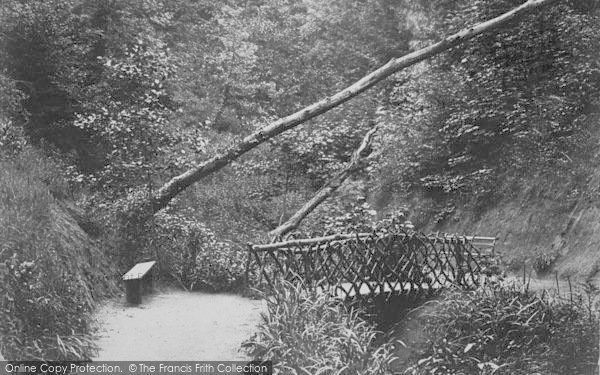 Photo of Shanklin, Chine c.1883