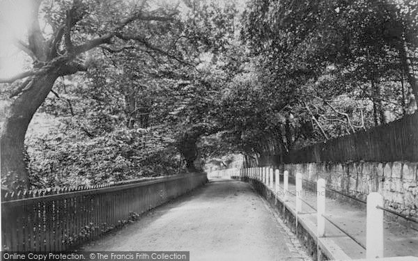 Photo of Shanklin, Chine Road 1892