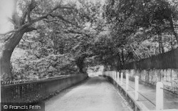 Chine Road 1892, Shanklin