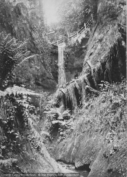 Photo of Shanklin, Chine, With Ferns c.1867
