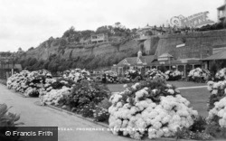 Hydrangeas, Promenade Gardens c.1935, Shanklin