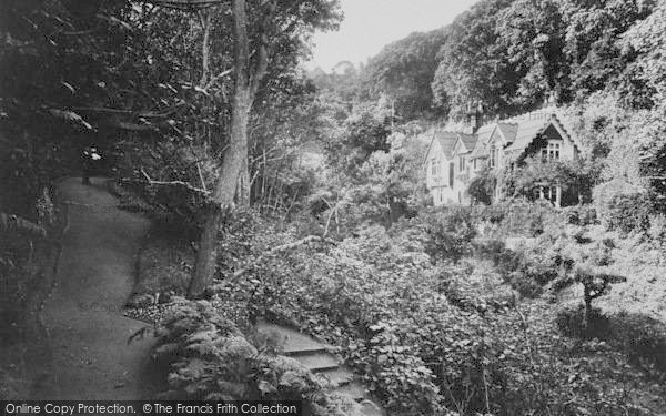 Photo of Shanklin, In The Chine 1913