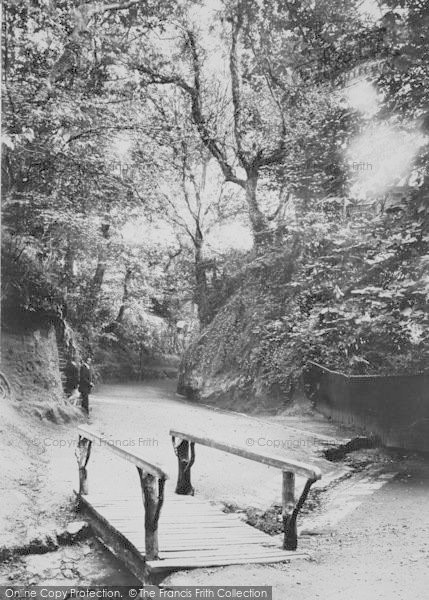 Photo of Shanklin, The Chine Hollow 1913
