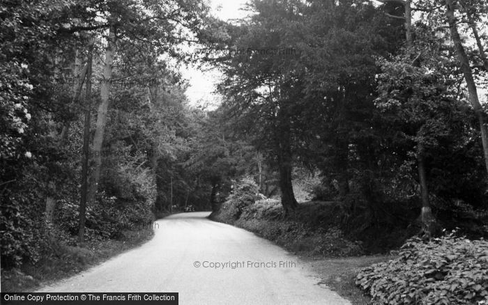 Photo of Sharpthorne, Black Dog Wood c.1955