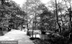 Endcliffe Woods 1893, Sheffield