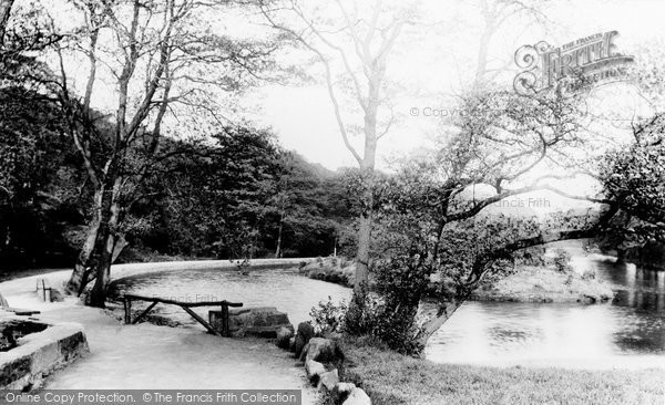 Photo of Sheffield, Endcliffe Woods 1893