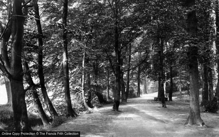 Photo of Sheffield, Endcliffe Woods 1900