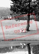 Lying Under The Tree, Whirlow Brook Park c.1955, Sheffield