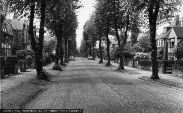 Photo of Sheffield, Montgomery Road, Nether Edge c.1955