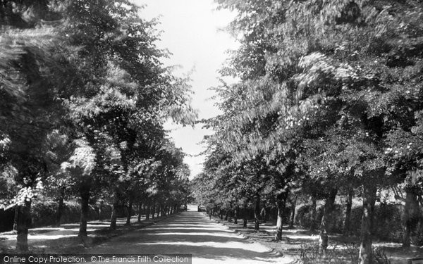 Photo of Sheffield, Norfolk Park Avenue 1893