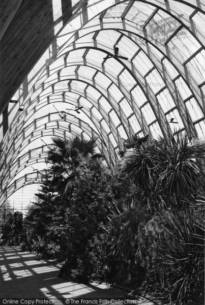 Photo of Sheffield, The Winter Garden 2005