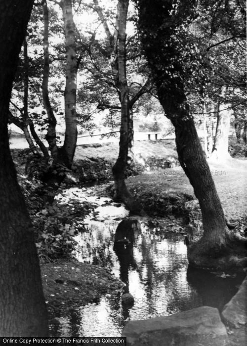 Photo of Sheffield, Whiteley Woods c.1955