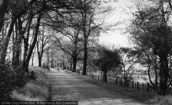 Photo of Shelf, The Drive, Shelf Hall Park c.1960